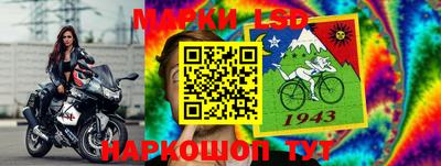 сатива Бузулук